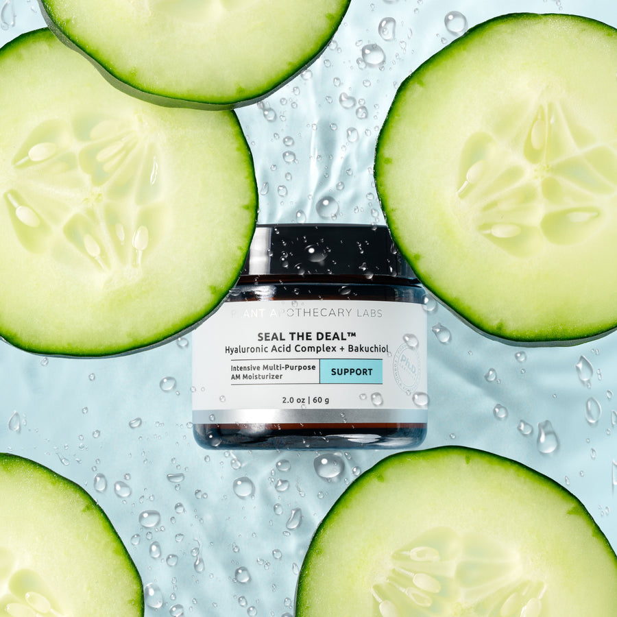 Seal the Deal Daytime Moisturizer